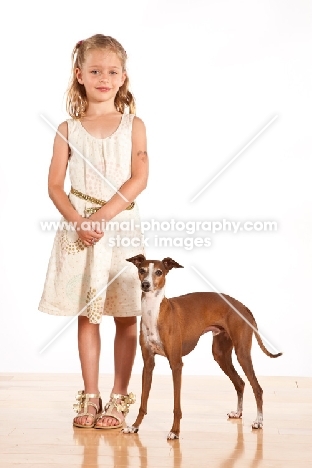 girl and red and white Italian Greyhound