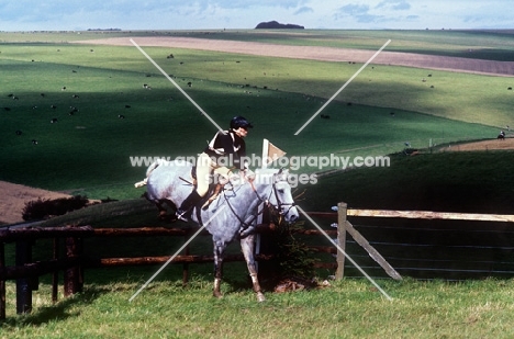 horse jumping at wylye horse trials