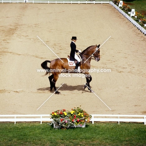 Christine Stückelberger riding Granat, perform the passage at Goodwood Festival of Dressage, holstein 