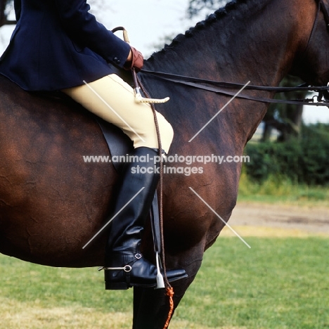 rider with hunting whip and spur equipment