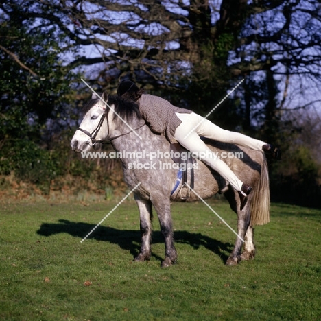 exercises on horseback