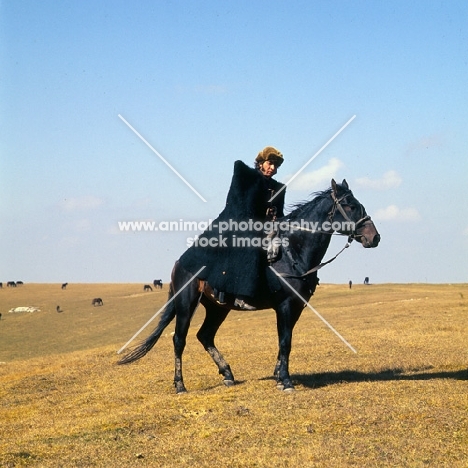 cossack riding Kabardine horse in Caucasus mountains