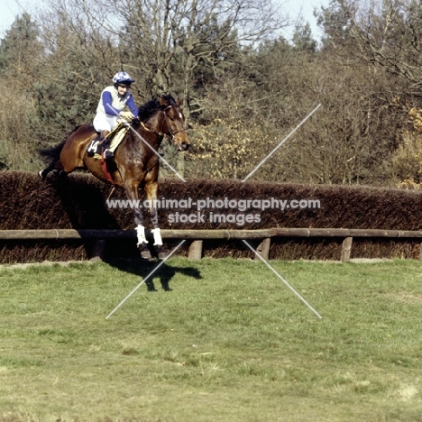 point to point at tweseldown '80

