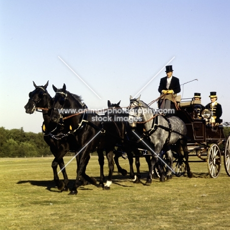 team, driving, windsor, '79