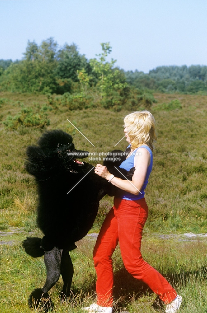 marita rogers with standard poodle champion montravia tommy gun,bis crufts