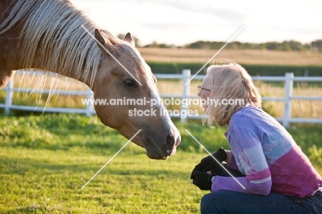 Palomino Quarter horse with woman