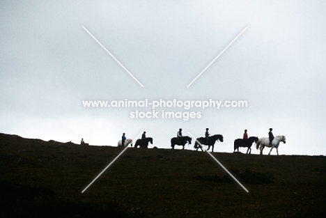 trekking on dartmoor