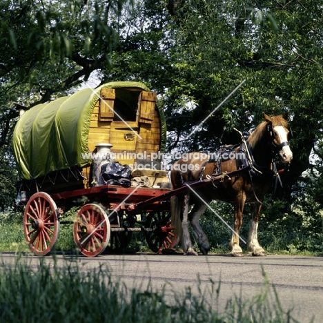 gipsy caravan