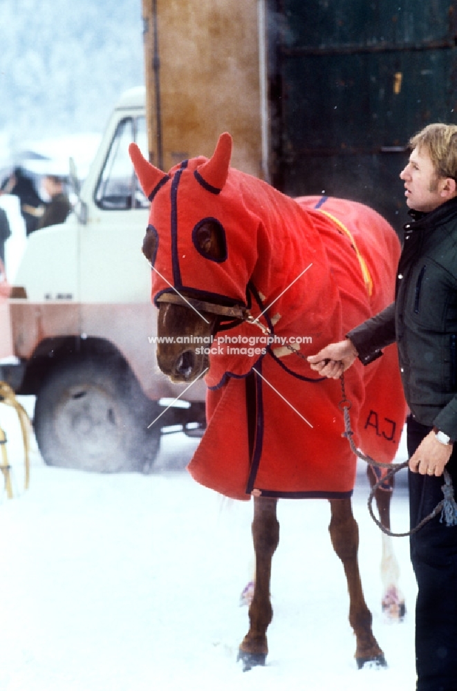 trotter wearing hood and long-sided rug at races on snow in austria