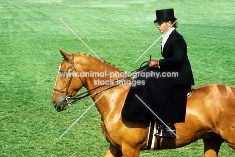 hack ridden side saddle