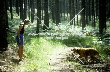 owner talking to golden retriever on a forest walk