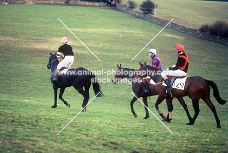 three horses at the heythrop hunt point to point race