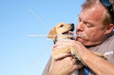 man holding labrador puppy