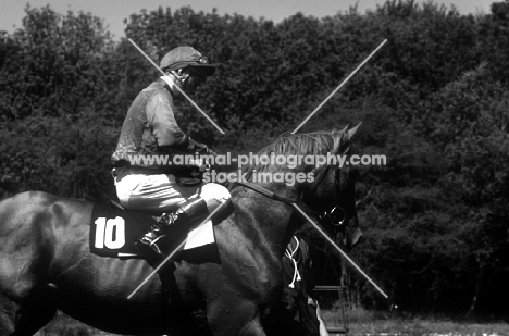 lester piggott and racehorse at goodwood races