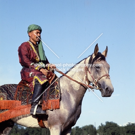 lokai stallion with decorated bridle and blanket at dushanbe, rider in traditional clothes