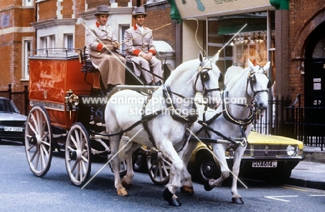 rothmans vehicle with pair of horses trotting down new cavendish street, london