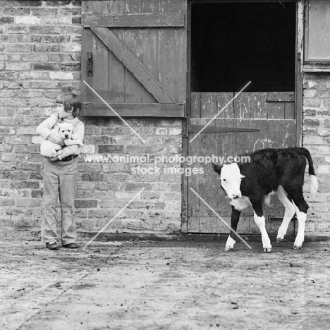 child holding a labrador puppy while calf turns away