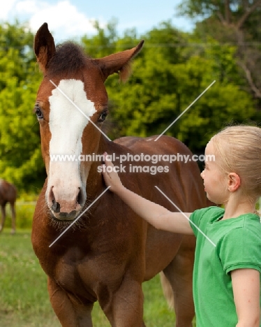 girl petting Appaloosa horse