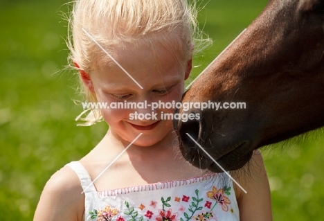 Appaloosa horse near girl