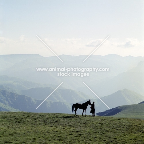 Kabardine stallion with cossack in Caucasus mountains