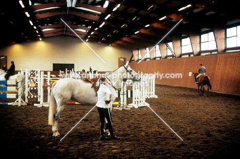 riders and horses in olympic riding school at warendorf, germany