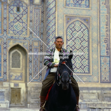 karabair horse and rider in registan square, samarkand