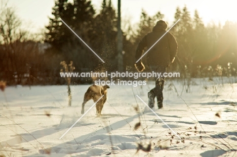 Man running with Boxer through field