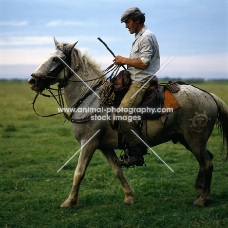 Gardien riding Camargue pony