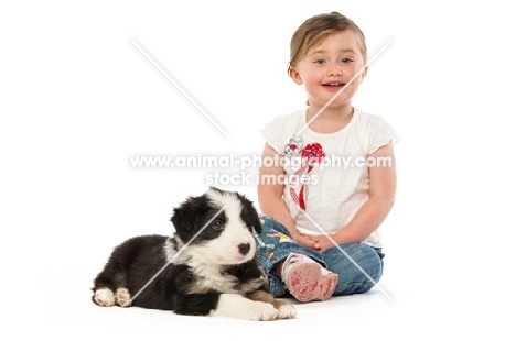 bearded collie dog and girl isolated on a white background