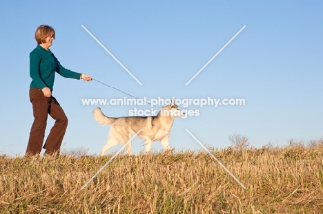 woman walking her Husky