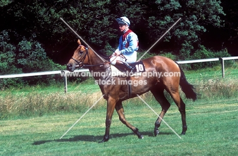 western star, racehorse at goodwood