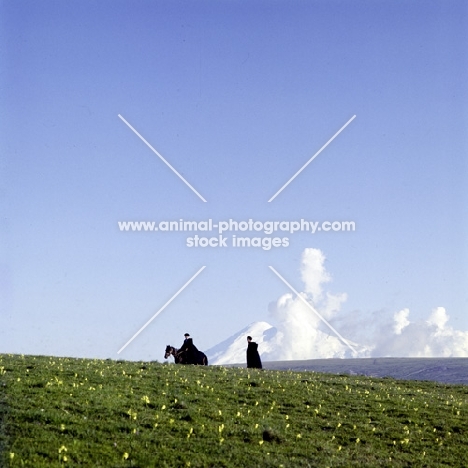 kabardine stallion ridden by cossack near malokarachaev