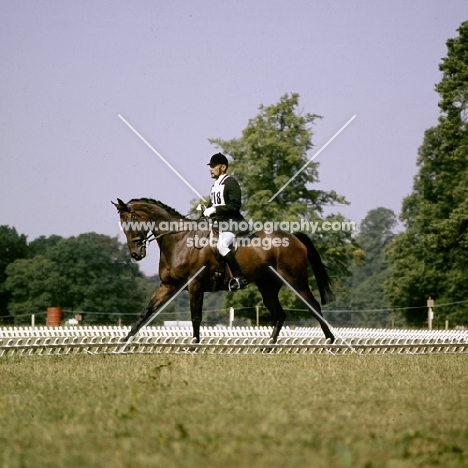 dressage at cirencester 3 day event 1975 