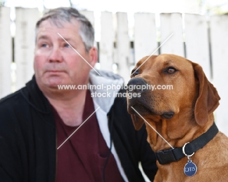 rhodesian with owner
