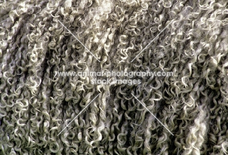 close up of fleece