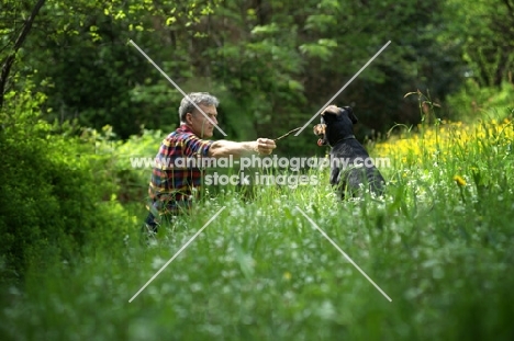 dog and owner playing with a stick in a field 