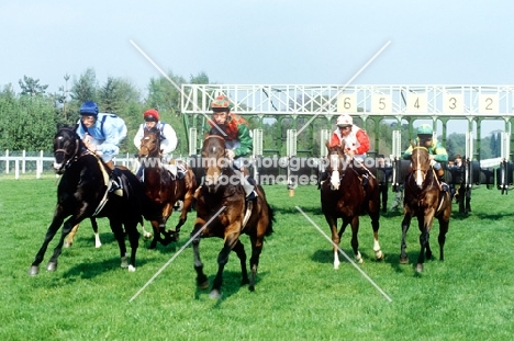 racing at ascot in 1982 with starting stalls in background