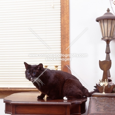 black Ojos Azules on table