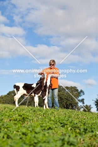 boy with Holstein Friesian calf