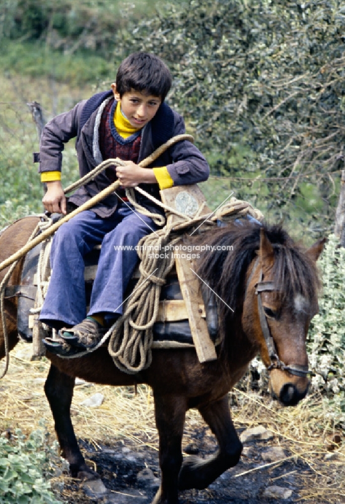 child riding skyros pony on skyros island, greece