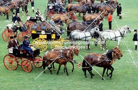 andalusian team of four with other competitors in ring at Zug  