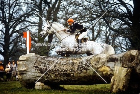 jumping a log fence at badminton 1983