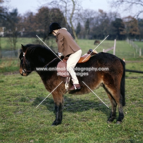 child mounting pony