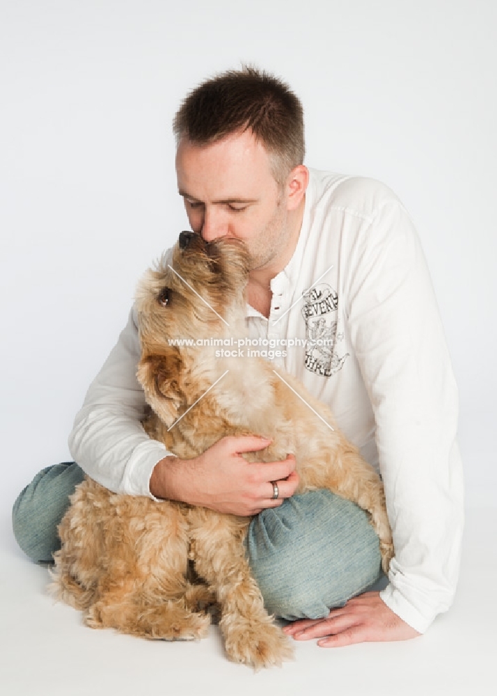 Wheaten Terrier licking owners face