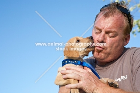 puppy lickinh man's face