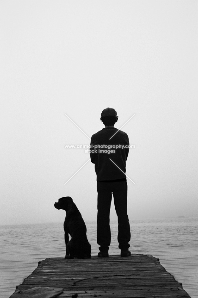 Man and Boxer standing on dock in fog