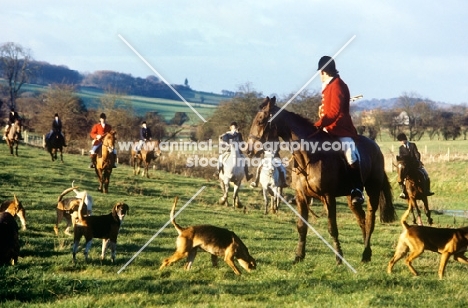 horses, riders and hounds of the berks and bucks drag hunt