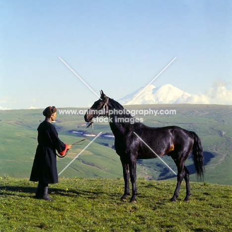 Kabardine horse held by cossack in Caucasus mountains mt elbruz in background
