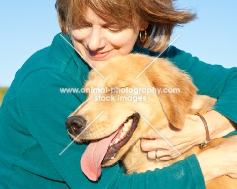 Golden Retriever being held by a woman
