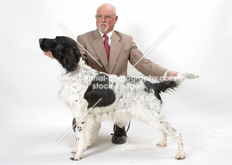 man posing his champion Large Munsterlander